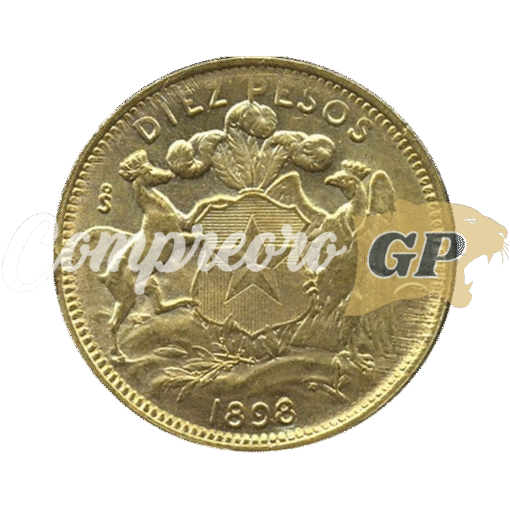 Moneda 10 Pesos Chilenos varios años
